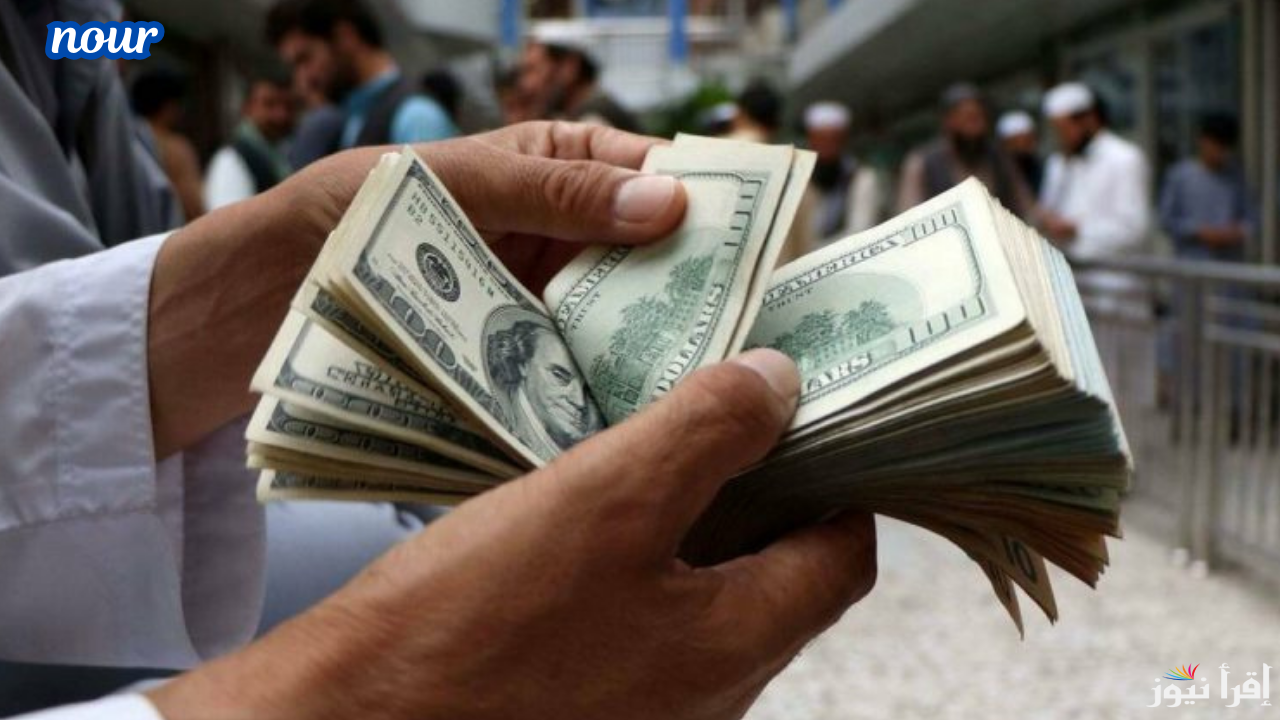 يكسر حاجز 51 ج.. أسعار الدولار في جميع البنوك المصرية اليوم 23 ديسمبر 2024