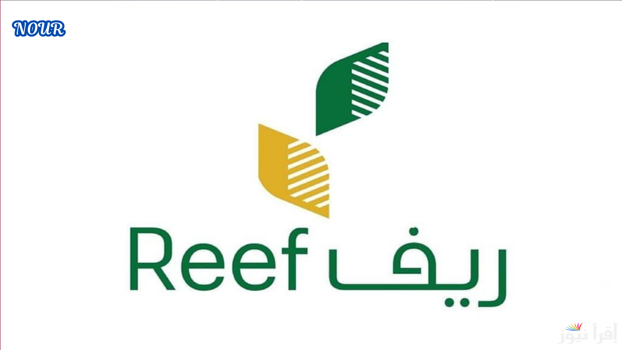رابط استعلام عن دعم ريف ومتى ينزل الدعم دفعة يناير 2025/1446