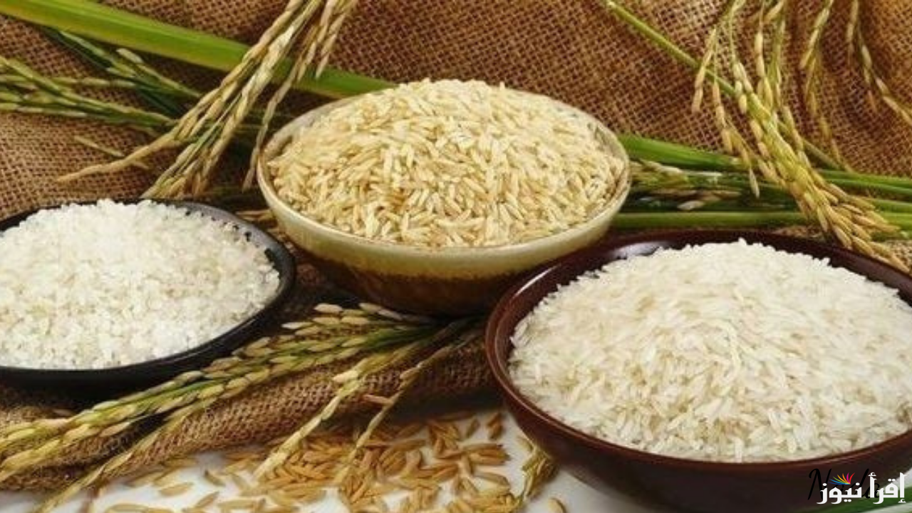 سعر طن الأرز الشعير اليوم في السوق المحلي وجميع المنافذ 30 ديسمبر 2024