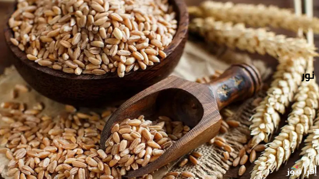 سعر طن الأرز الشعير اليوم الأحد رفيع وعريض الحبة يسجلا تحركات جديدة
