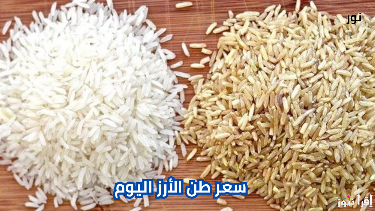 سعر طن الأرز الشعير اليوم السبت 14 ديسمبر 2024 في الأسواق المصرية ومنافذ البيع