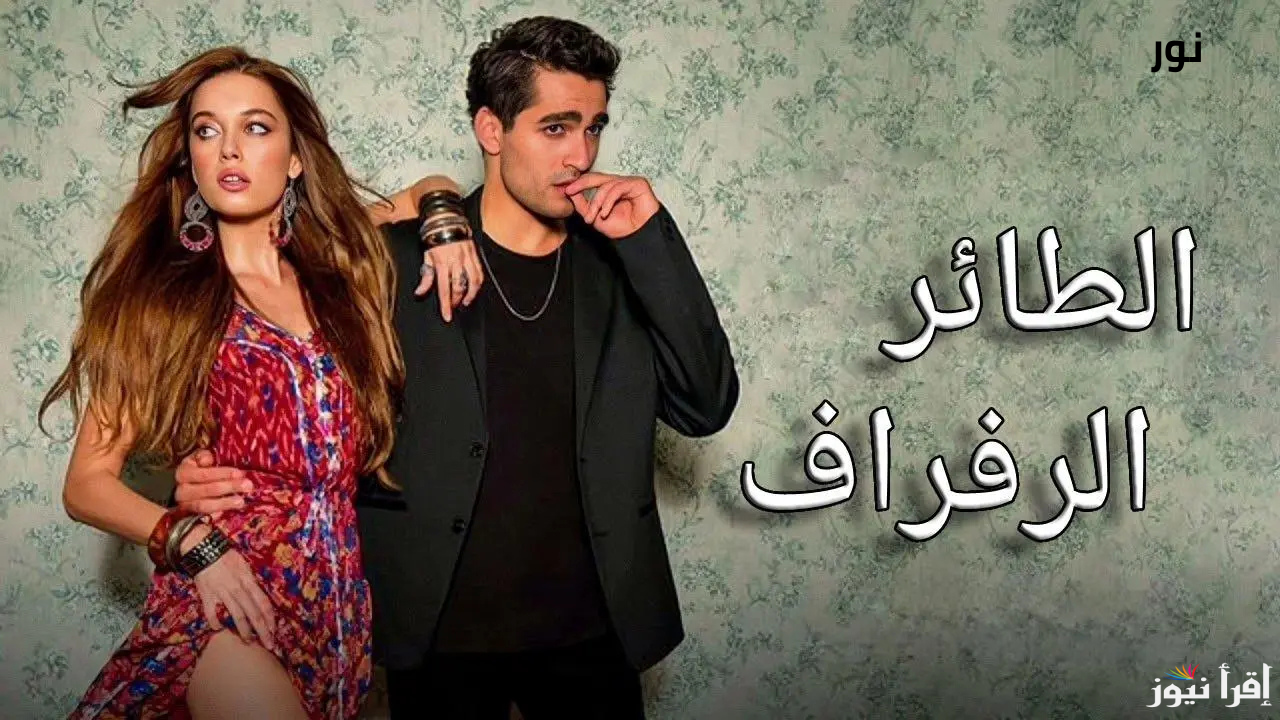 موعد عرض مسلسل طائر الرفراف والقنوات الناقلة