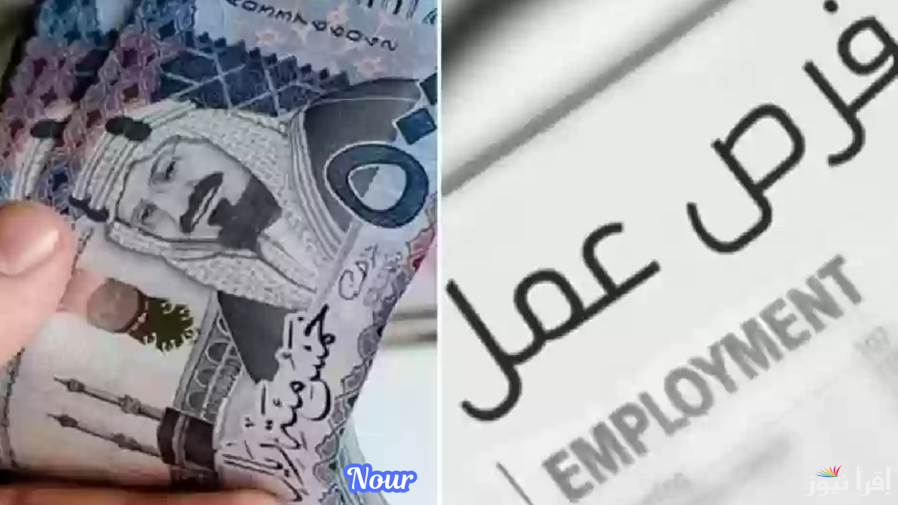 برواتب مجزية نوفر إليكم وظائف شاغرة للمصريين في السعودية 2024