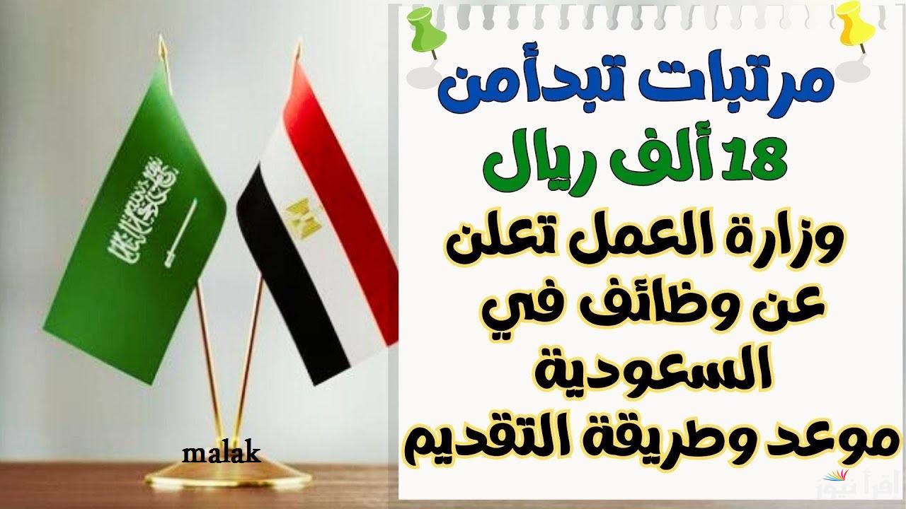 وظائف وزارة العمل السعودية للمصريين 2025 رواتب تصل حتى 15000 ريال سعودي شهرياً