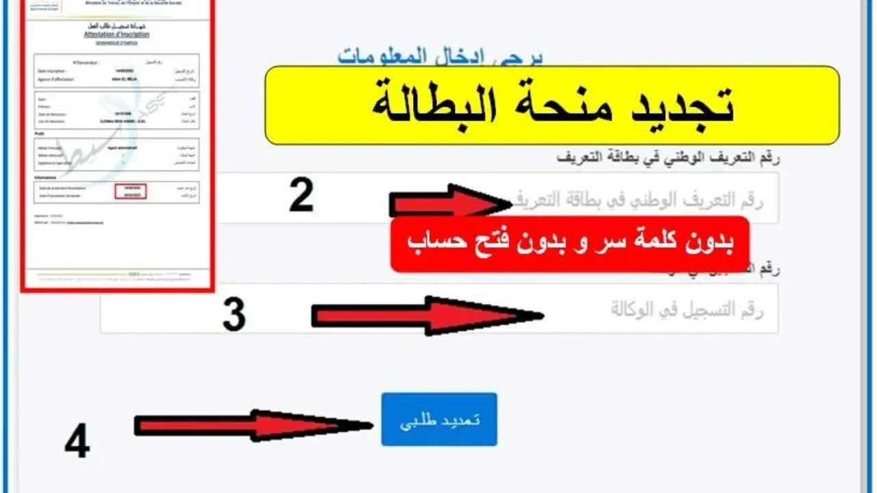 “الوكالة الوطنية للتشغيل”.. تتيح رابط تجديد منحة البطالة لضمان استمرار الدعم المالي