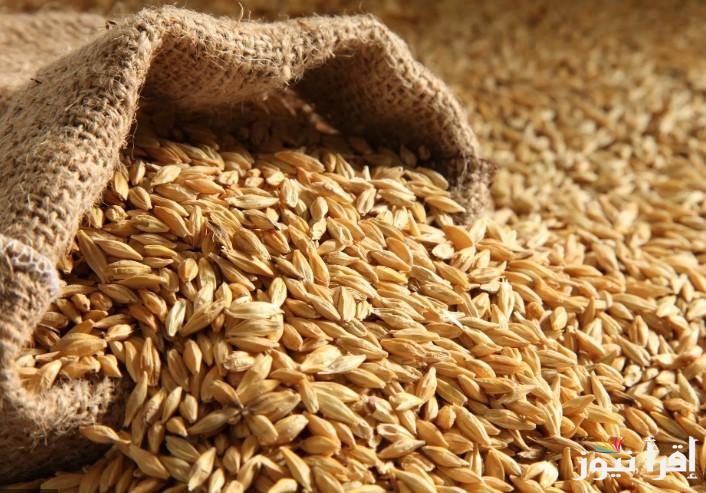 سعر طن الأرز الشعير اليوم الأثنين 6 يناير 2025 والأبيض داخل جميع الأسواق الاستهلاكية