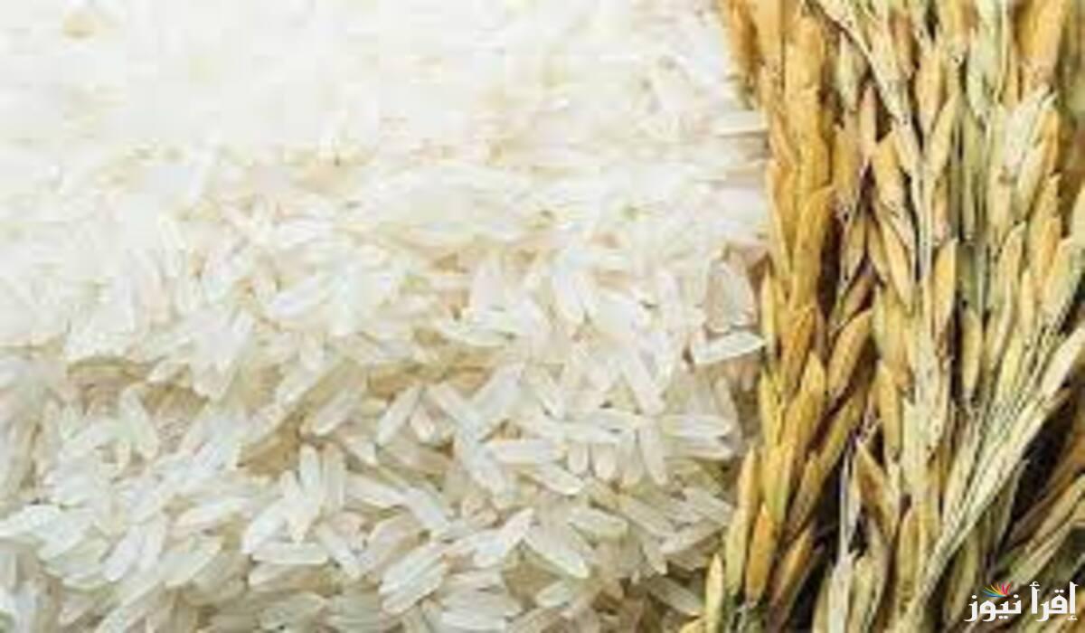 استقرار سعر طن الأرز الشعير اليوم الأحد 12 يناير في الأسواق المصرية مع اقتراب شهر رمضان