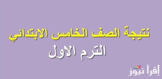 وزارة التربية والتعليم تُوفر.. رابط الاستعلام علي نتيجه الصف الخامس الابتدائي 2025 بالاسم ورقم الجلوس