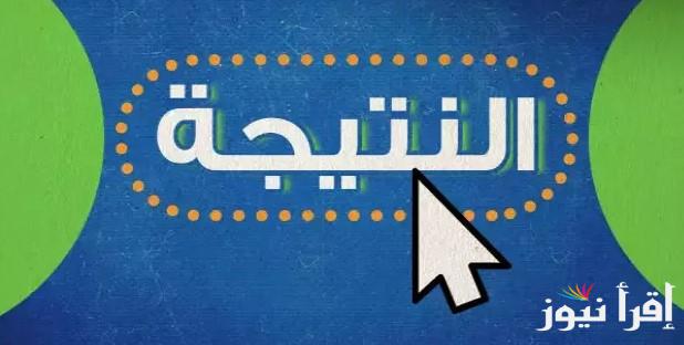 “5 ابتدائى” نتيجه الصف الرابع والخامس والسادس الابتدائي ٢٠٢٥ بالاسم ورقم الجلوس عبر موقع وزارة التربية والتعليم