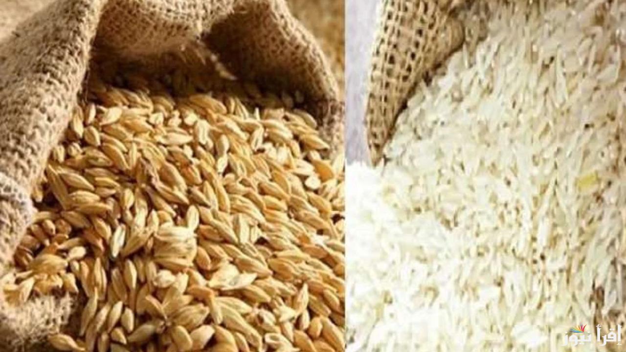 عكس التوقعات.. سعر طن الأرز الشعير اليوم السبت 25 يناير 2025