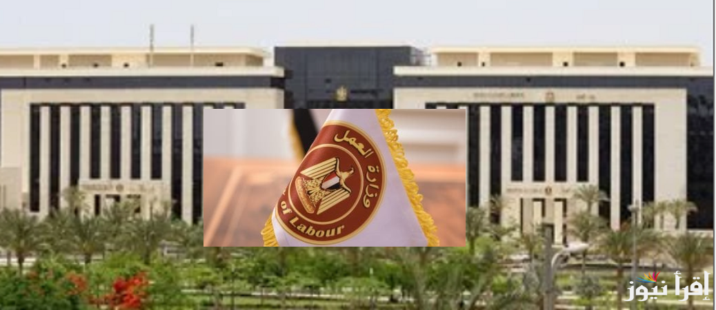 براتب 122 ألف جنيه.. آخر موعد لتقديم طلبات الوظائف بالإمارات للذكور والإناث والشروط المطلوبة من وزارة العمل