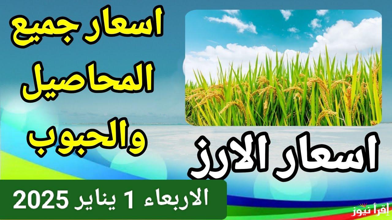 من الغيط للبورصة.. سعر طن الأرز الشعير اليوم الأربعاء 1 يناير 2025 في مصر