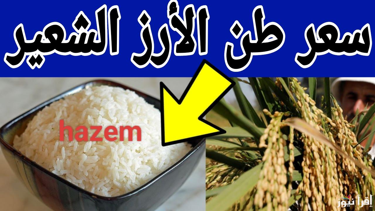 الحق اشتري في تراجع كبير.. سعر طن الأرز الشعير الان الخميس 16 يناير 2025 في الأسواق المصرية