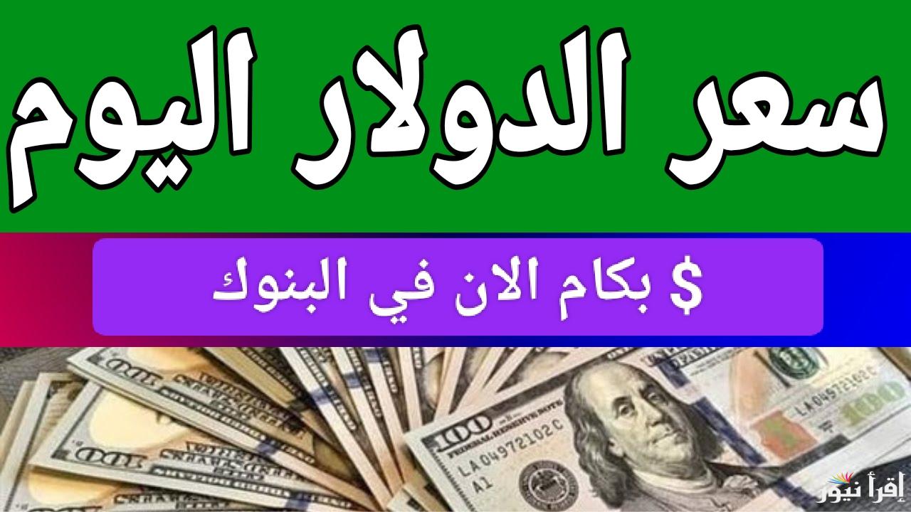 الأخضر بكام النهاردة.. سعر الدولار اليوم مقابل الجنيه المصري الأحد 5 يناير 2025 في مصر