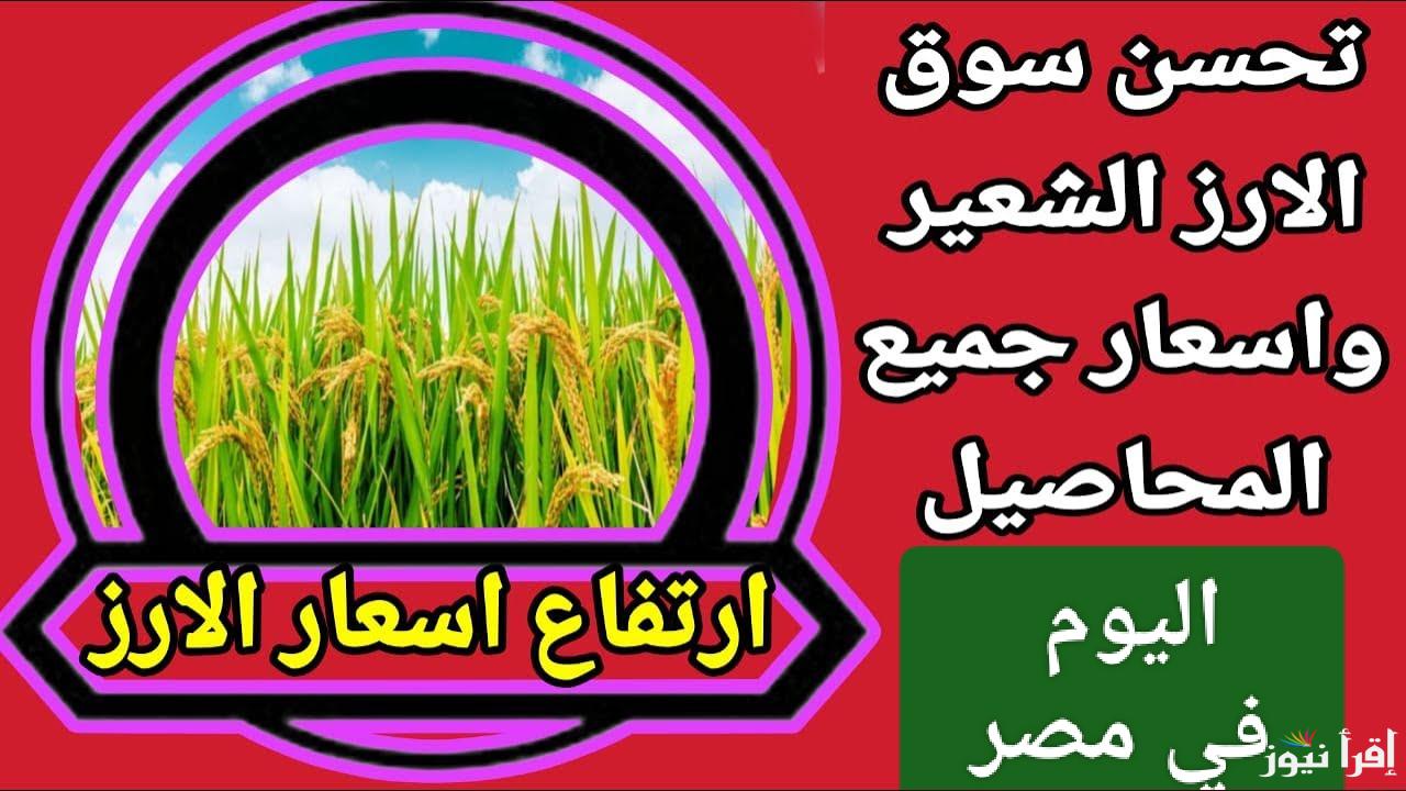 تحديث فوري للأسعار.. سعر طن الأرز الشعير الان الثلاثاء 7 يناير 2025 في مصر