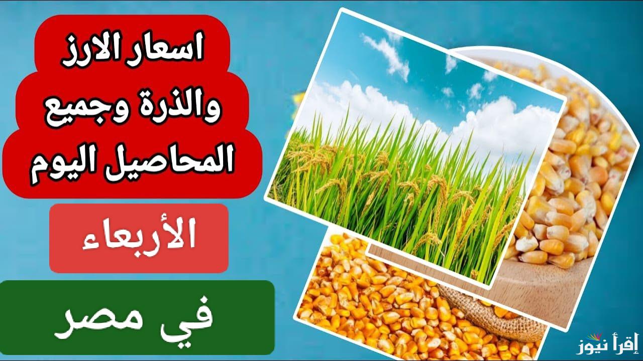 الحق اشتري قبل رمضان.. سعر طن الأرز الشعير اليوم الاربعاء 8 يناير 2025 في مصر