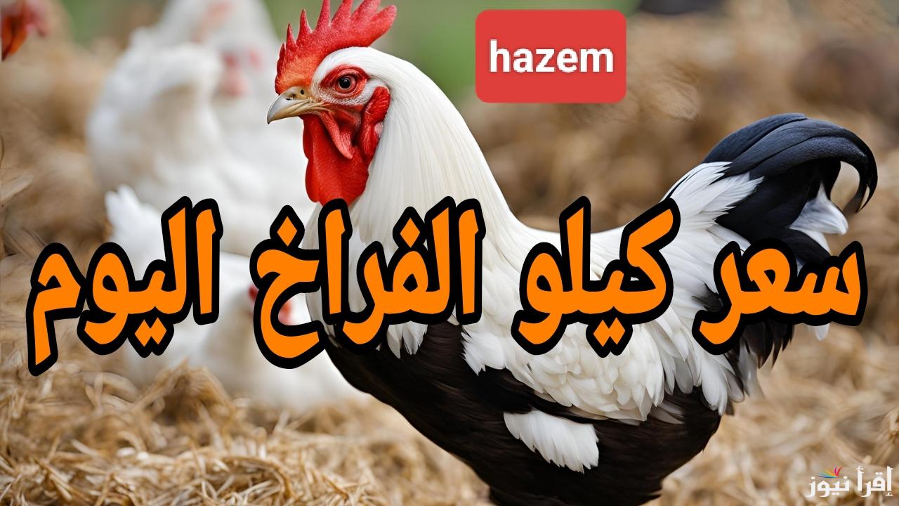 الكيلو ولع قبل رمضان.. اسعار الفراخ البيضاء اليوم للمستهلك الإثنين 20 يناير 2025 في المزارع والمحلات