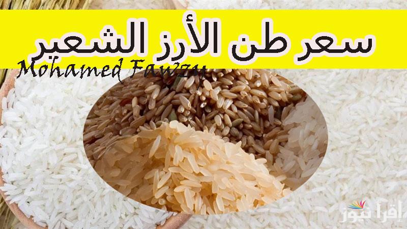 بكام حنشتري انهاردة.. سعر طن الأرز الشعير اليوم الخميس 16 يناير 2025 عريض وطويل الحبة للتجار والمستهلكين