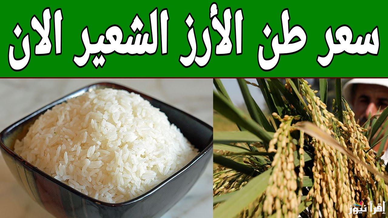 الان اسعار طن الارز والشعير اليوم الاحد 5/1/2025 وفقاً للاخر تحديثات الاسواق المحلية “اخر تحديث”