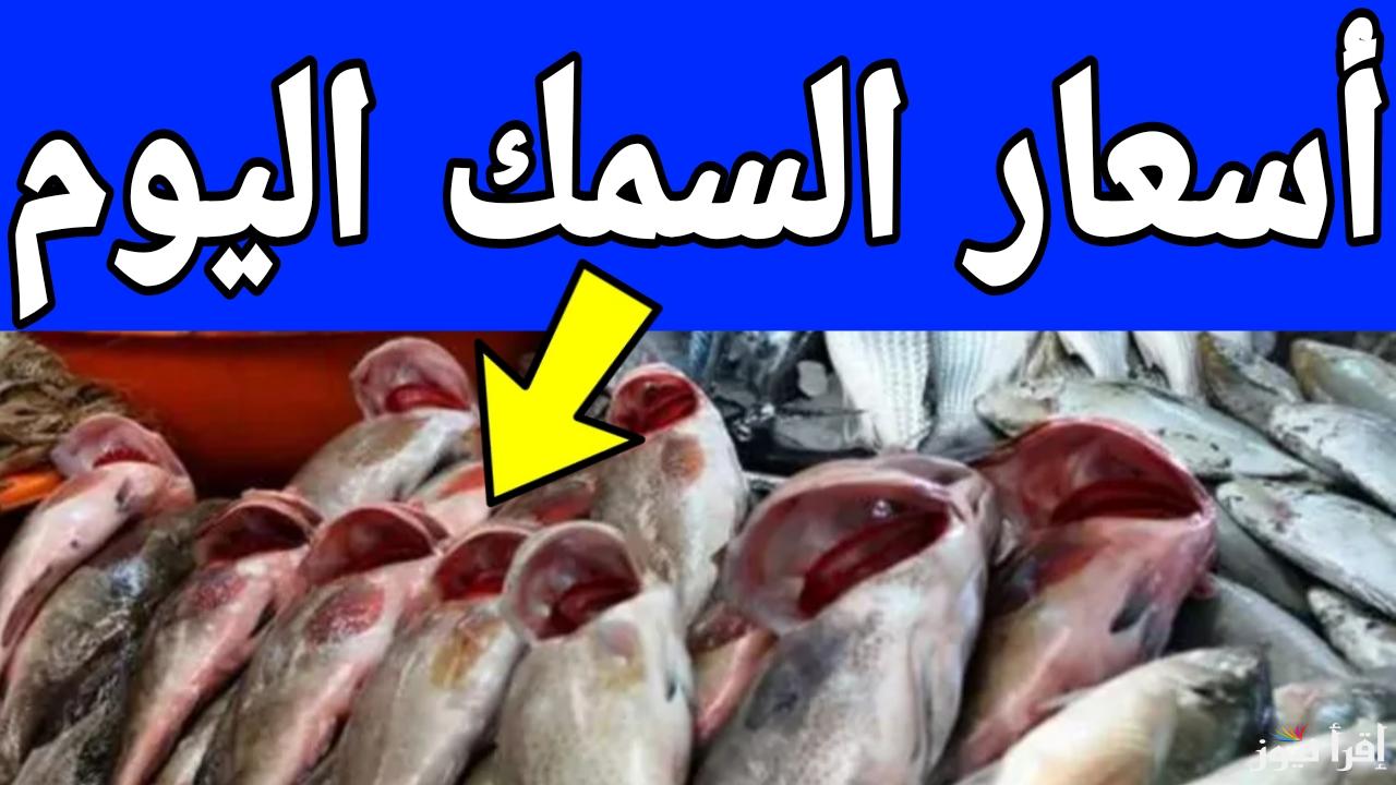 المكرونة وصلت 75 جنيه.. أسعار السمك اليوم في الأسواق المصرية الثلاثاء 7 يناير 2025