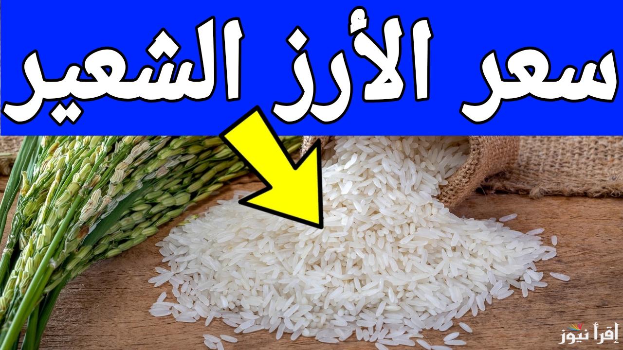 قبل ما تشتري أرز رمضان.. سعر طن الأرز الشعير اليوم الثلاثاء 14 يناير 2025 في مصر