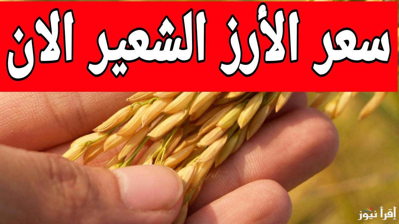 الأسعار هتبقى بالضعف في رمضان.. سعر طن الأرز الشعير الان الخميس 16 يناير 2025