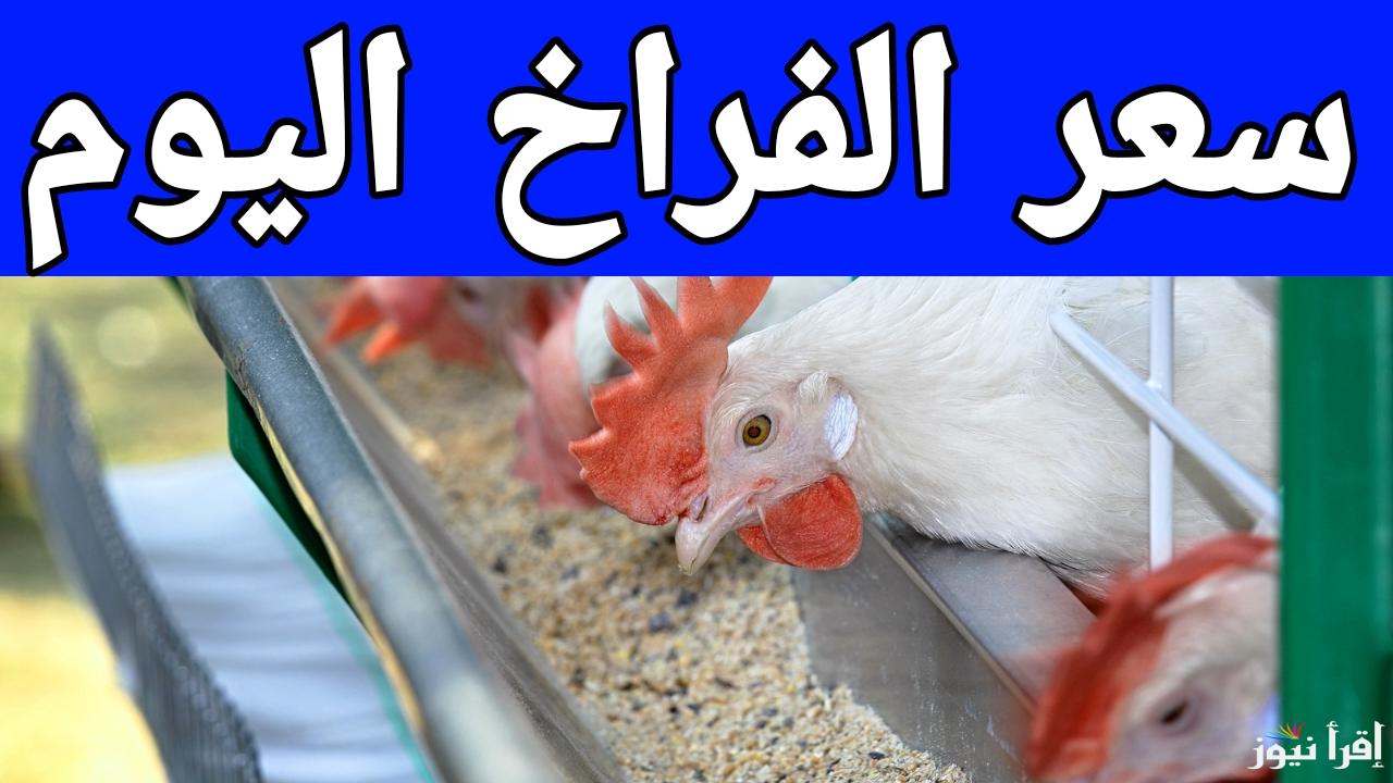 الدواجن هتطير في رمضان.. سعر كيلو الفراخ البيضاء اليوم في المزارع الاحد 19 يناير 2025 في مصر
