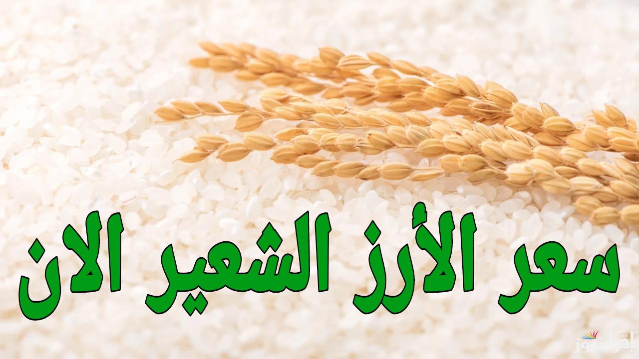 بين جشع التجار وظروف السوق.. سعر طن الأرز الشعير الان السبت 18 يناير 2025 في مصر
