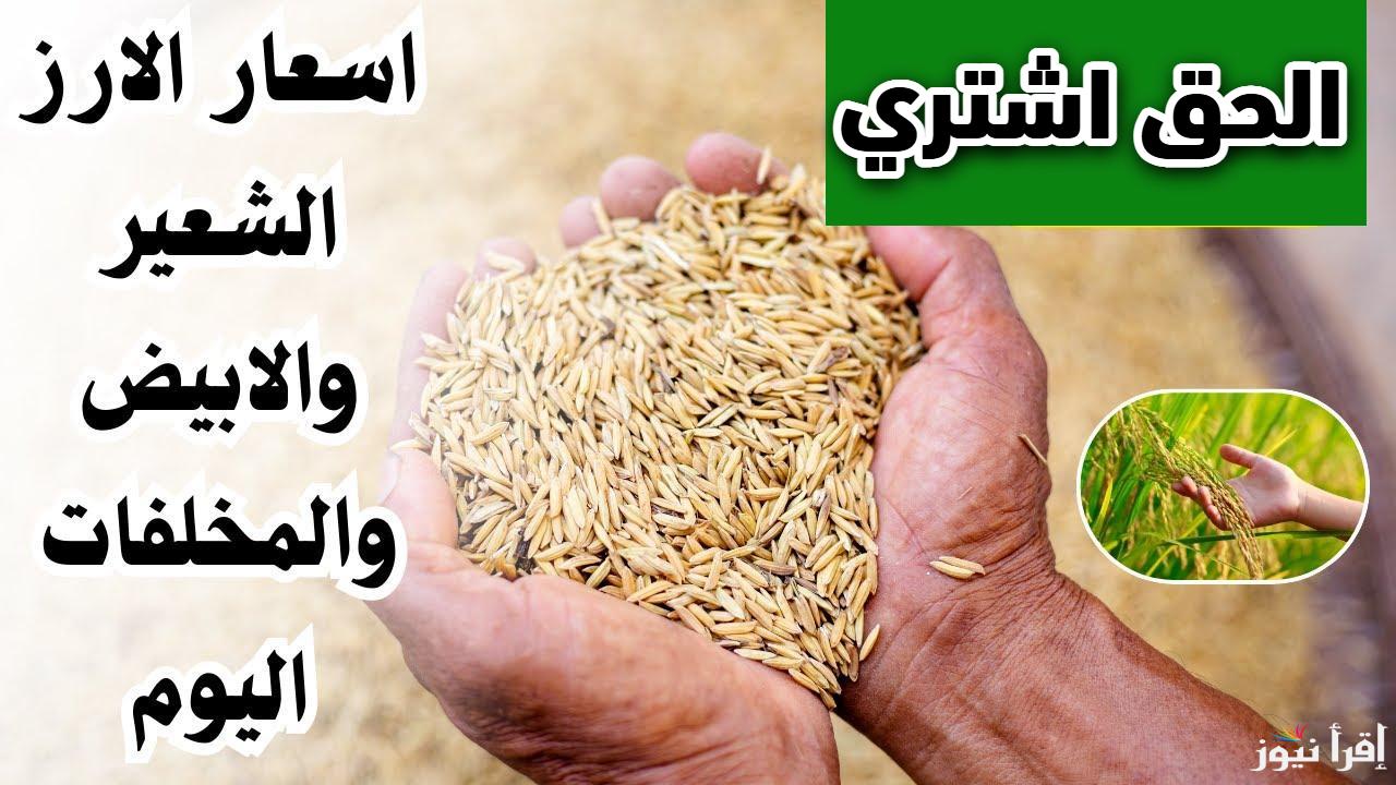 من قلب السوق.. سعر طن الأرز الشعير اليوم في مصر 2025 في جميع الاسواق المحلية