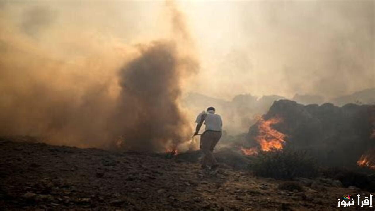 أسباب انتشار حرائق غابات لوس أنجلوس واهم الحلول المقترحة للحد منها