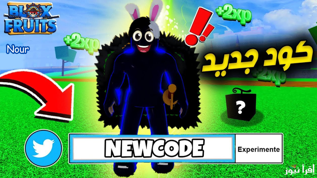 أحدث اكواد بلوكس فروت Blox Fruits لشهر يناير 2025 بدلها الآن واستمتع بالهدايا