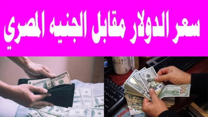 هبوط اضطراري.. سعر الدولار اليوم مقابل الجنيه المصري السبت 25 يناير 2025