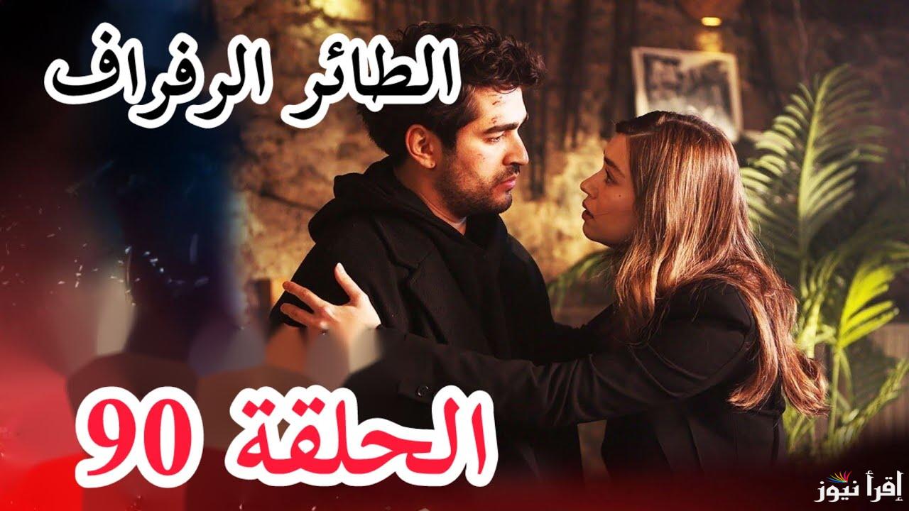 علاقة سيران وفريد في خطر .. مسلسل طائر الرفراف الحلقة 90 على تردد جميع القنوات المفتوحة الناقلة