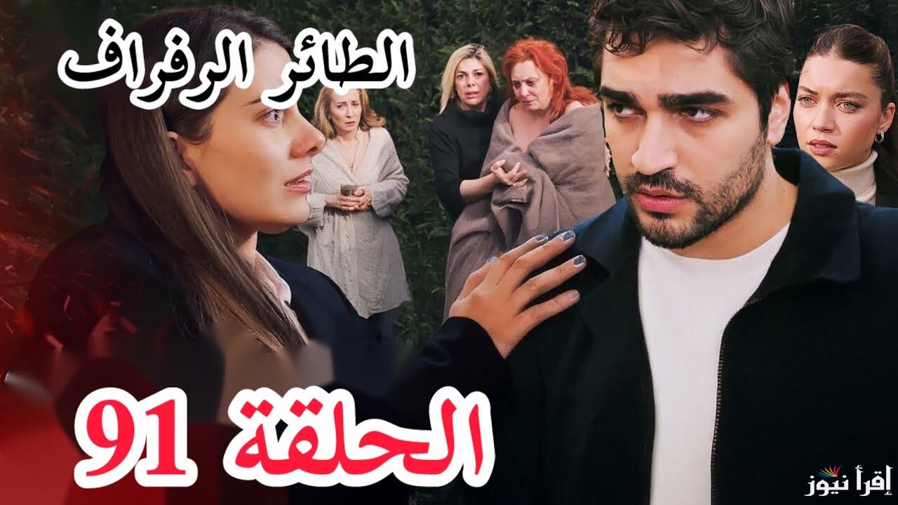 مسلسل طائر الرفراف الحلقة 91 Yalı Çapkını وموعد عرضه على قناة Star TV التركية