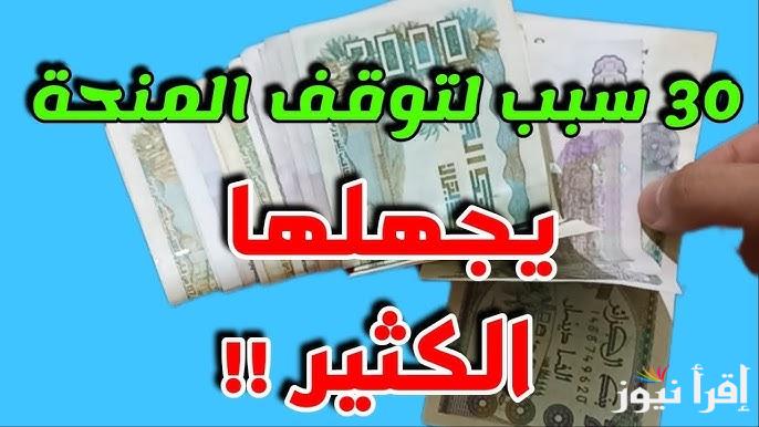 أسباب إيقاف منحة البطالة في الجزائر 2025 وطريقة تجديدها كل 6 شهور عبر www.anem.dz