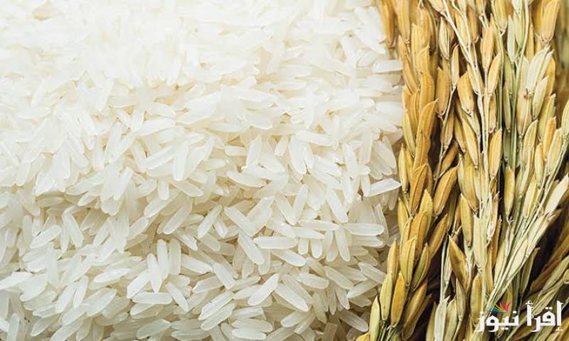 “الطن بكام” أسعار الأرز الشعير في الأسواق اليوم الاثنين 27 يناير 2025 بأنواعه المختلفة