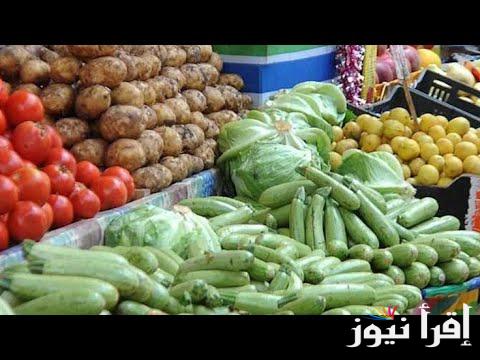 ببلاش يطماطم .. أسعار الخضروات في سوق العبور اليوم الأحد 26 يناير 2025 التفاصيل الكاملة للمستهلك