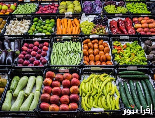 “الطماطم ب5 جنيه” أسعار الخضروات والفاكهة اليوم الأربعاء 15 يناير 2025 في سوق العبور