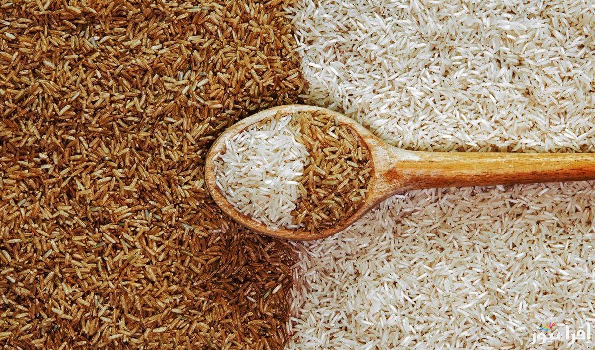 سعر طن الأرز الشعير اليوم السبت 4 يناير 2025| قائمة بمختلف الأسعار داخل الأسواق المصرية