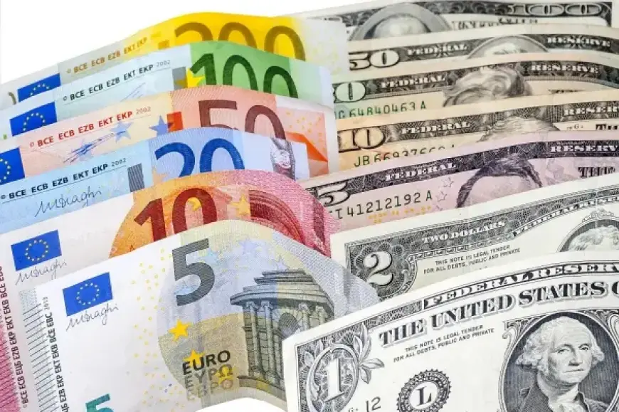“الاخضر ينافس الاوروبي” أسعار العملات في السوق السوداء اليوم الثلاثاء 21 يناير 2025 وفقا لاخر تعاملات