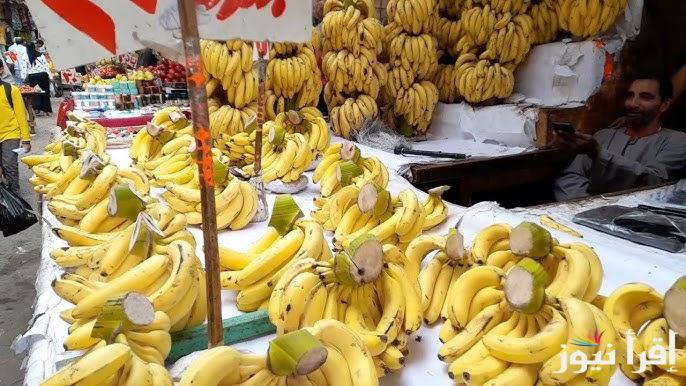 الموز وصل 30 جنية .. أسعار الفاكهة اليوم الاثنين 13 يناير 2025 في كافة الأسواق المصرية