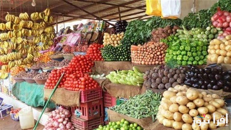 قائمة اسعار الخضروات والفاكهة اليوم الثلاثاء 14 يناير 2025 في سوق العبور في مصر.. الباذنجان الأبيض وصل كام؟