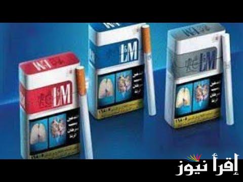 LM بكام انهاردة؟ اسعار السجائر اليوم الجمعة 31 يناير 2025 داخل المحلات والاكشاك المصرية
