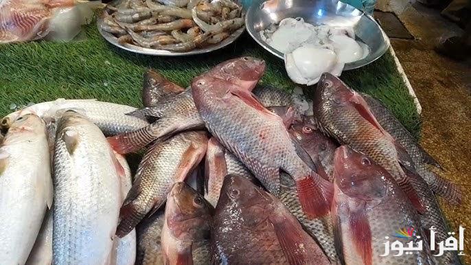 البلطي بقي بـ 100 جنيه.. أسعار السمك البلطي اليوم الاثنين 13 يناير 2025 في الاسواق المصرية