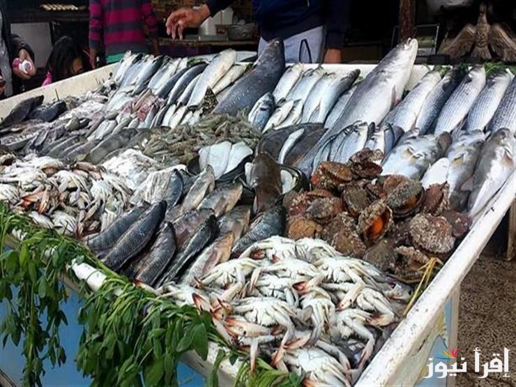 البلطي بكام .. اسعار السمك اليوم الخميس 16 يناير 2025 في كافة الأسواق المصرية