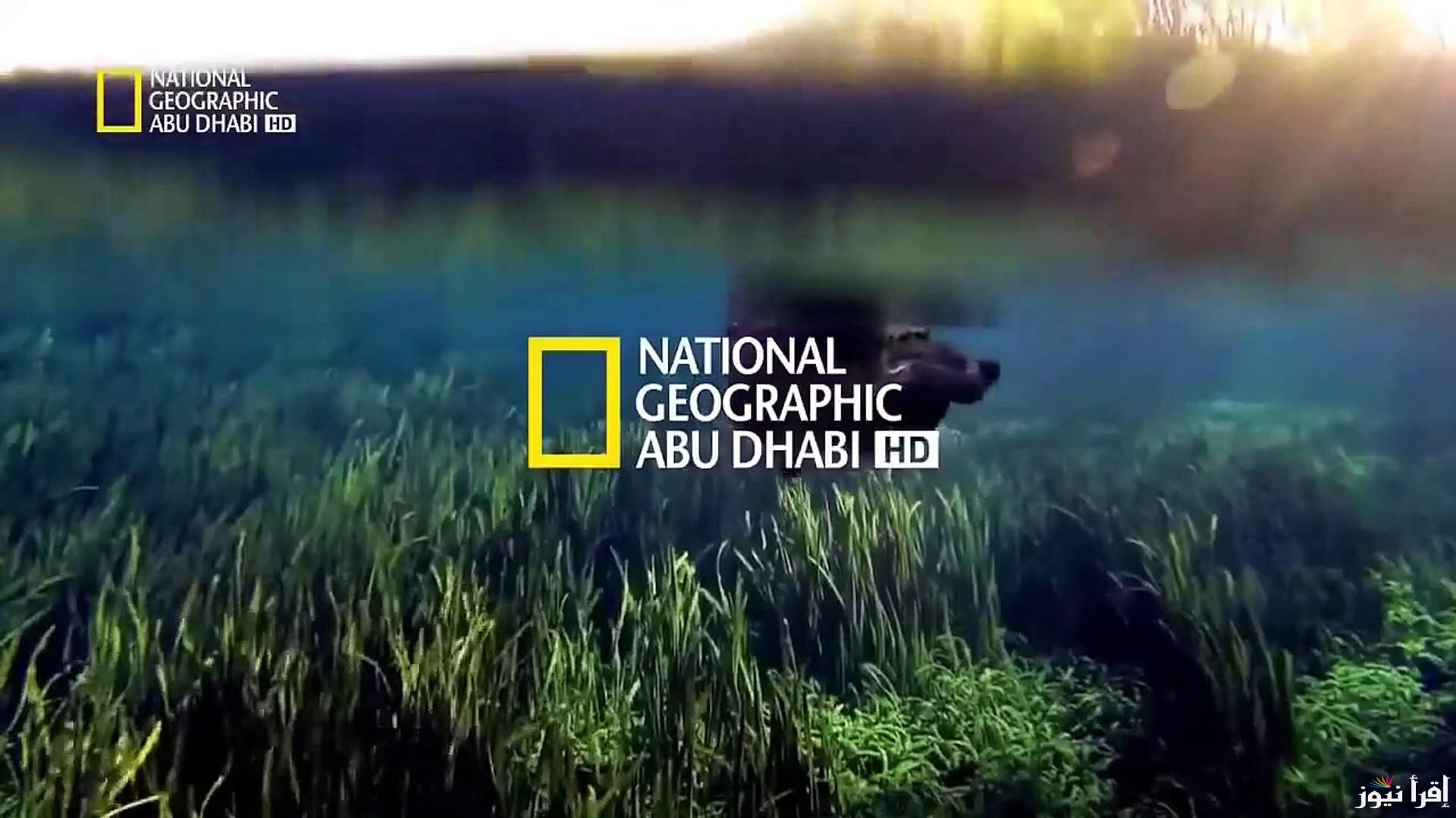 اضبط تردد قناة ناشيونال جيوغرافيك National Geographic 2025 علي شاشات التلفاز
