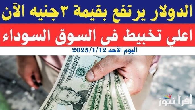 الدولار ركب طيارة .. اعلي سعر للدولار في السوق السوداء اليوم الأحد 12 يناير 2025 والبنوك المختلفة