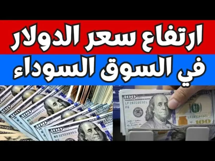 “وصل لـ 50.92 جنيه” اعلي سعر للدولار في السوق السوداء اليوم السبت 11 يناير 2025 وبالبنوك في مصر