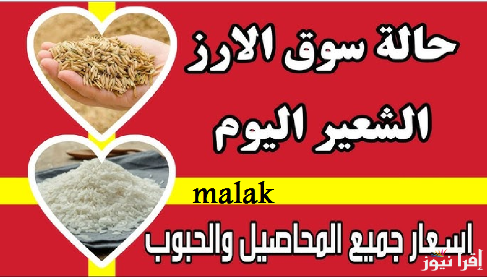 “حوشي حبة قبل رمضان” سعر طن الأرز الشعير اليوم 26-1-2025 العريض والرفيع في الاسواق
