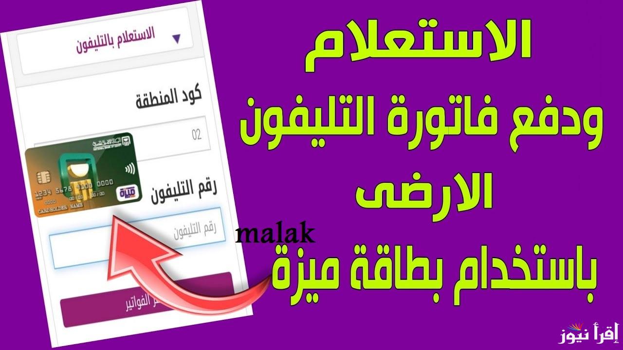 الاستعلام عن فاتورة الأرضي يناير 2025 عبر الشركة المصرية للاتصالات بالرقم